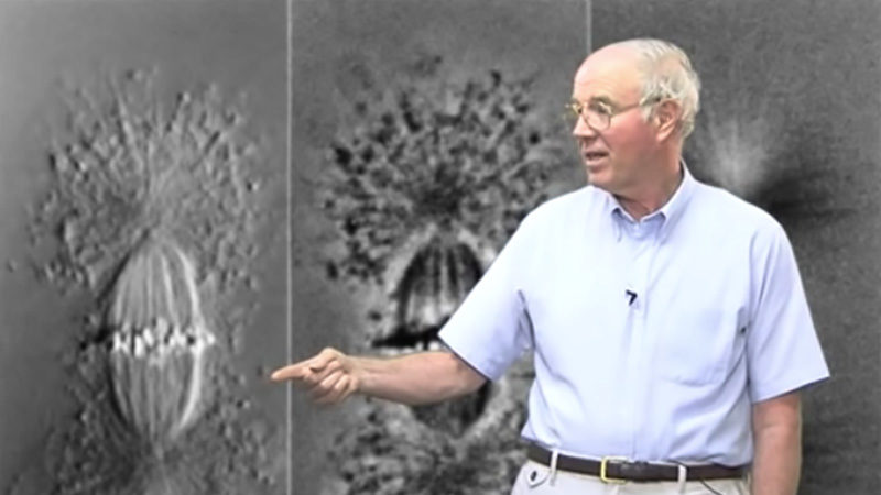 Differential Interference Contrast (DIC) Microscopy Edward Salmon