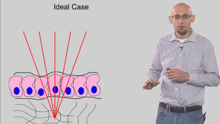 Microscopy: Two Photon Microscopy (Kurt Thorn