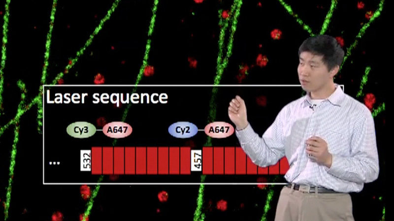 Super-Resolution: Localization Microscopy (Bo Huang)