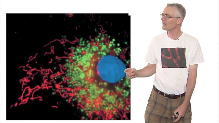 Timothy Mitchison Fluorescent Probes.jpg