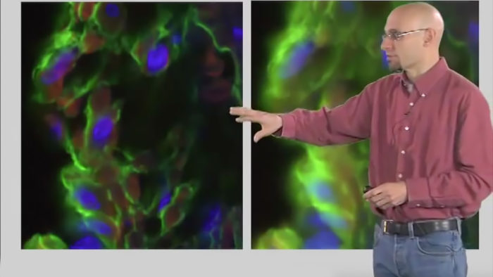 Microscopy: Optical Sectioning and Confocal Microscopy (Kurt Thorn)