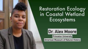 Restoration Ecology in Coastal Wetlands: Alex Moore